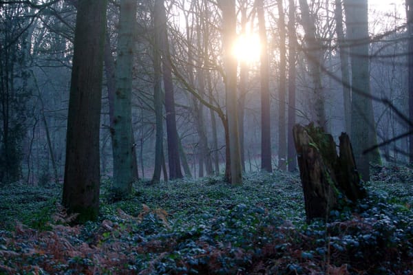 The Open Conspiracy: out there to be discovered